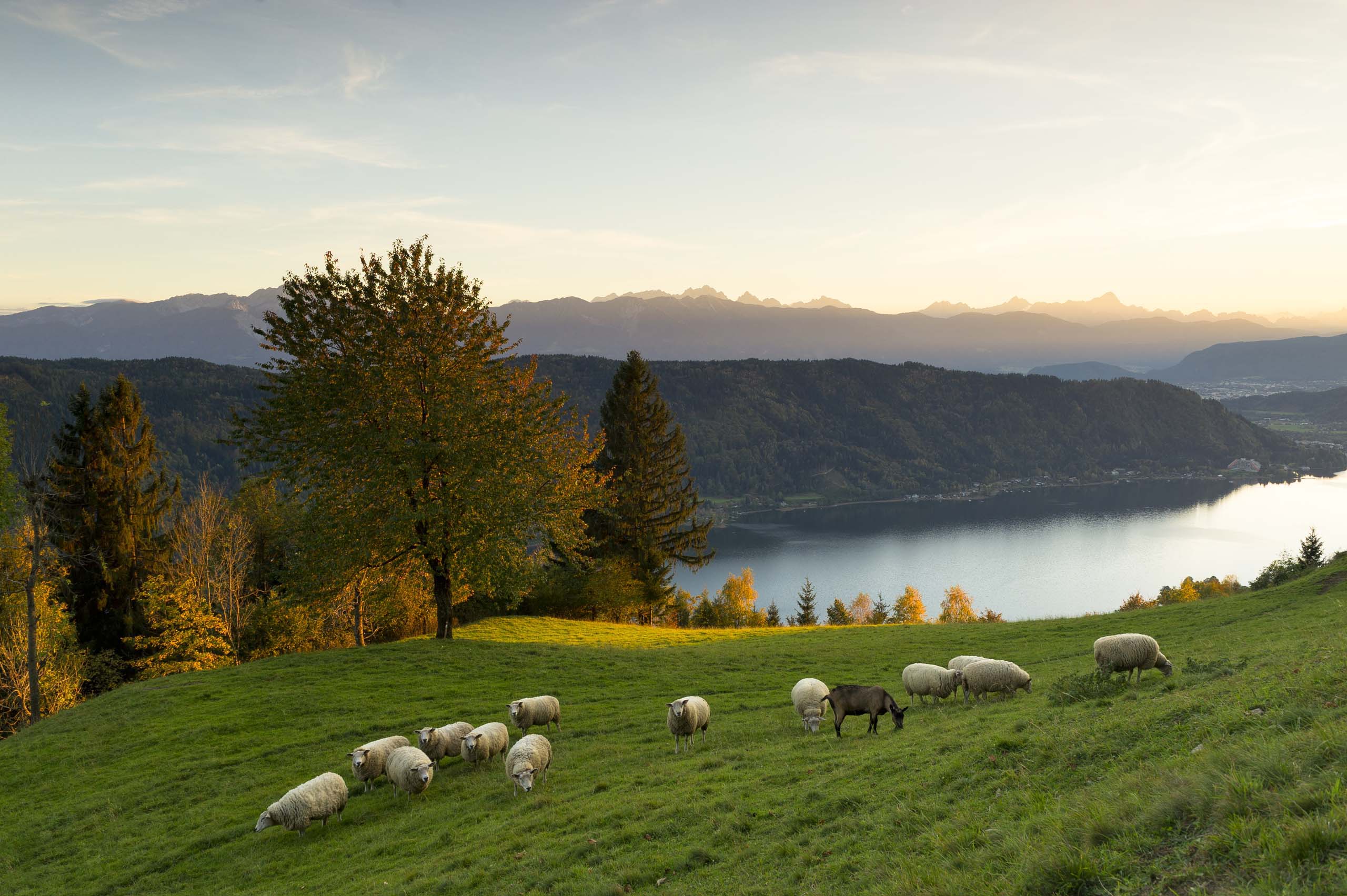 Burgstallerhof: dein Aktivhotel in Feld am See